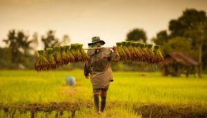 farmer protest india