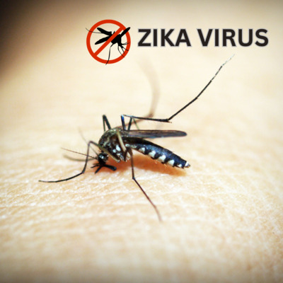 ZIKA VIRUS